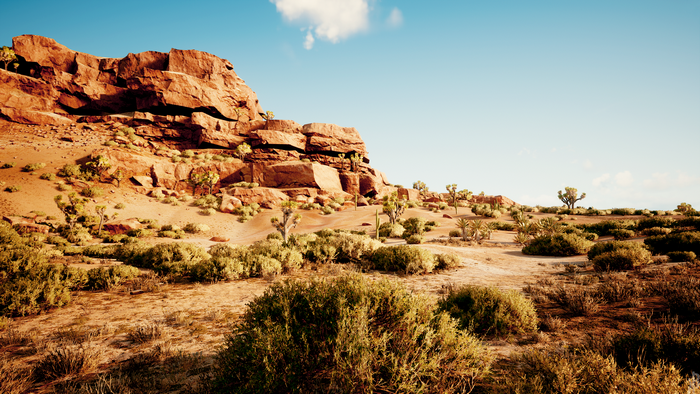 Desert landscape with rocks and Joshua trees