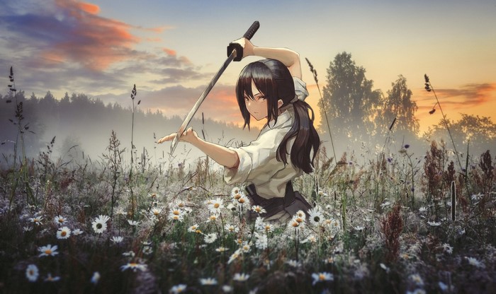 Anime girl with katana in a field at sunset