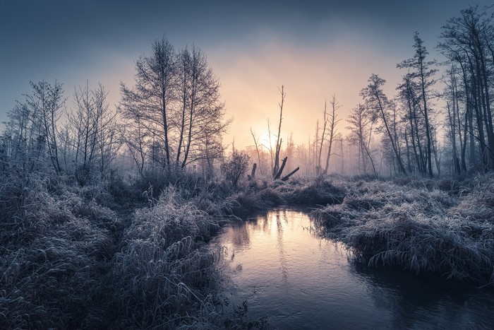 Winter forest with a river at sunrise and mist