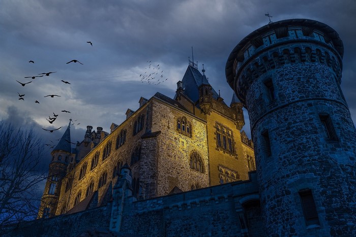 Castle Wernigerode in Sachsen-Anhalt, Germany at dusk with birds