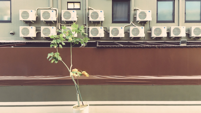 Air conditioning units on a building facade with a plant