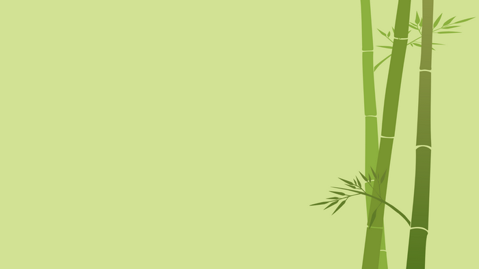Minimalist bamboo stalks on a light green background