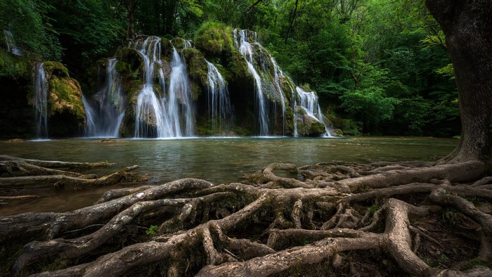 Waterfall cascading into a pool with exposed tree roots