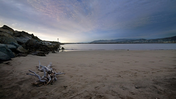 Beach with driftwood and rocky jetty at sunset