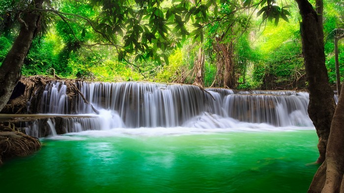 Waterfall in a lush green forest