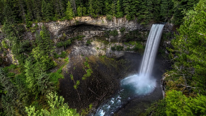Waterfall cascading into a pool surrounded by forest
