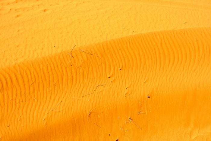 Desert sand dunes with ripples