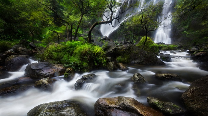 Waterfall flowing through a rocky, green forest