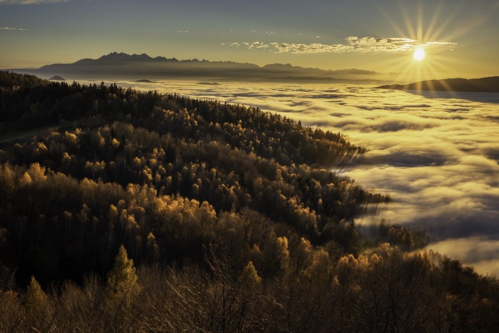 Sunlight over forest and clouds with mountains