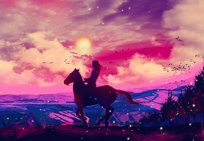 Woman riding a horse at sunset with birds flying