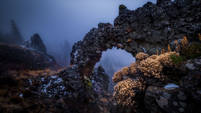 Rock formation with plants in mist