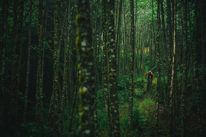 Mountain biker in a dense forest