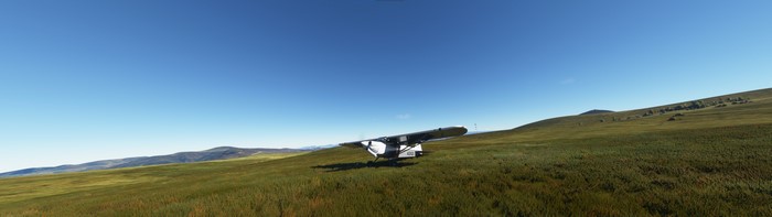 4K Flight Simulator Aircraft on Grassy Field