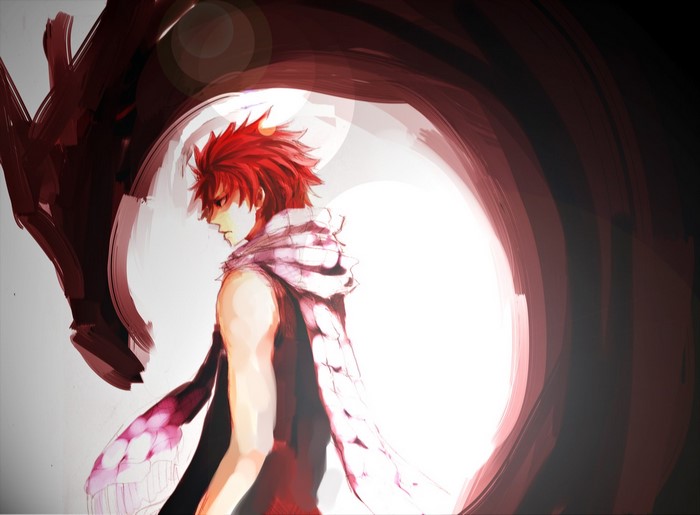 Natsu Dragneel from Fairy Tail with a dragon