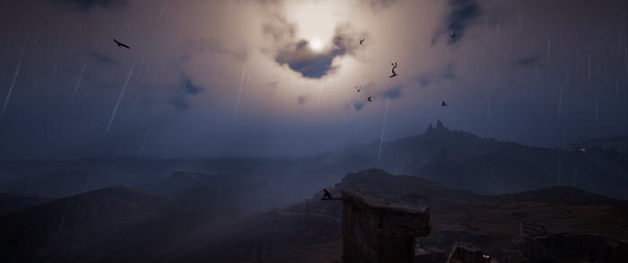 Assassin's Creed Valhalla landscape with rain and birds