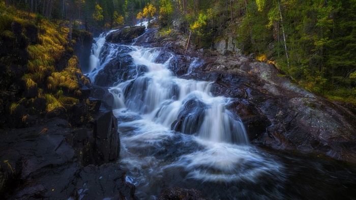 Waterfall cascading over dark rocks in a forest