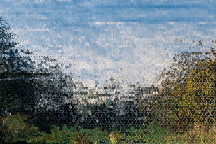 Hexagonal mosaic of trees and sky