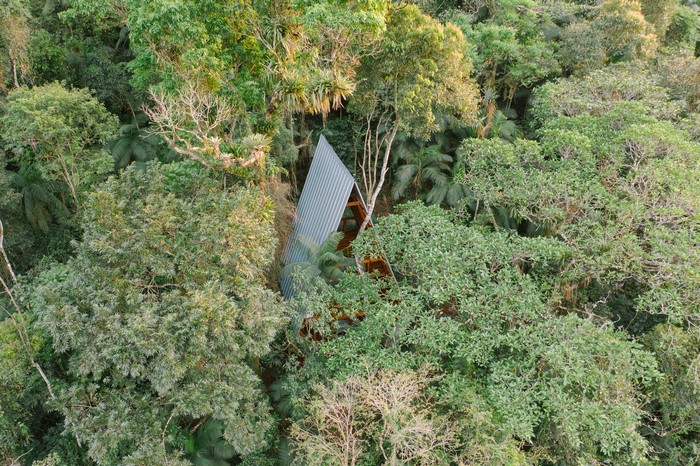 Modern house nestled in a dense forest canopy