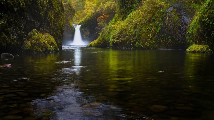 Waterfall cascading into a dark pool surrounded by mossy rocks