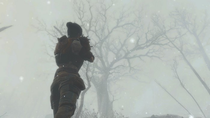 Fallout 4 Winter Scene with Character