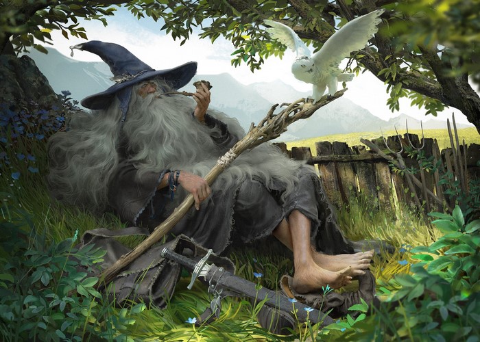 Gandalf the wizard with a pipe and owl