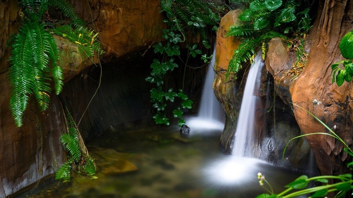 Small waterfall flowing into a pool surrounded by rocks and ferns