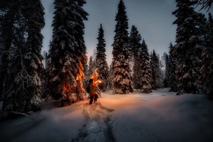 Person with lantern in snowy forest at night