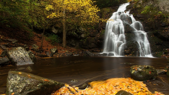 Waterfall in a forest during autumn