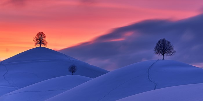 Snowy hills with trees at sunset