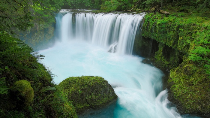 Waterfall cascading into turquoise water surrounded by mossy rocks and ferns