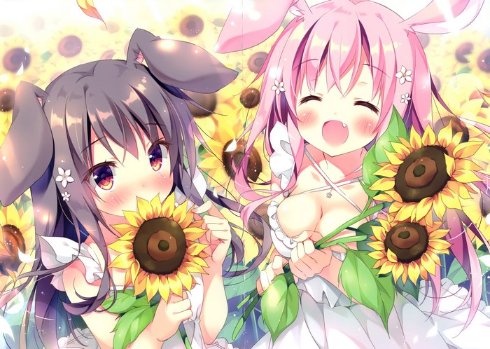 Two anime girls with bunny ears in a sunflower field