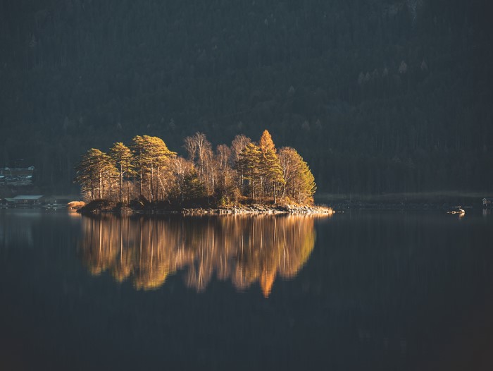 Island with trees reflected in a lake