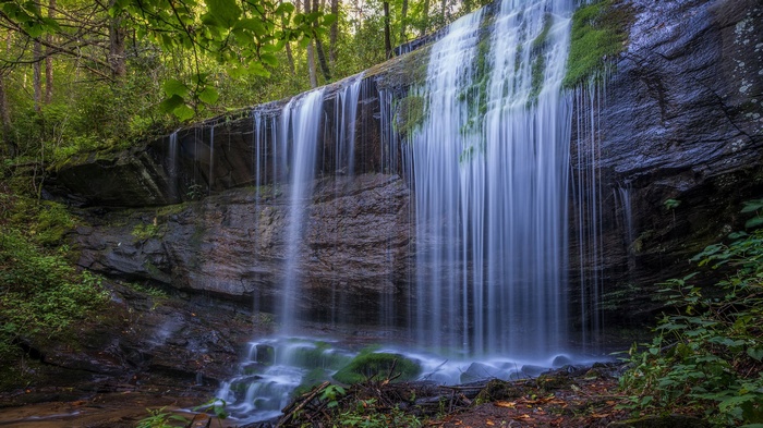 Waterfall cascading over mossy rocks in a forest