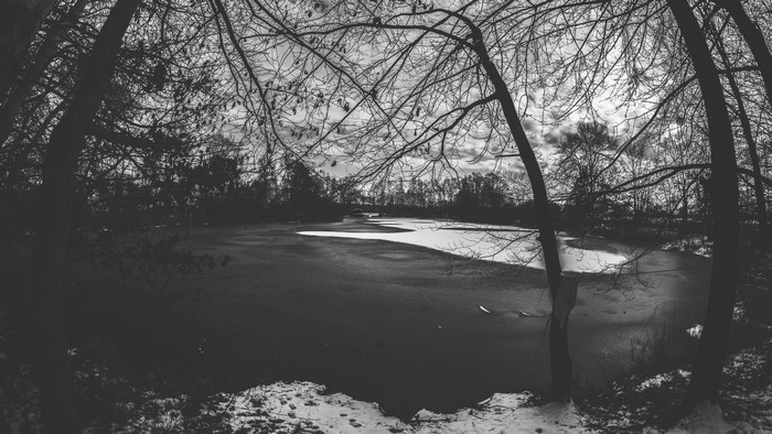 Monochrome winter scene with frozen lake and trees