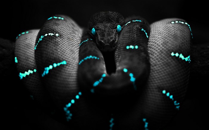 Snake with glowing blue markings and eyes