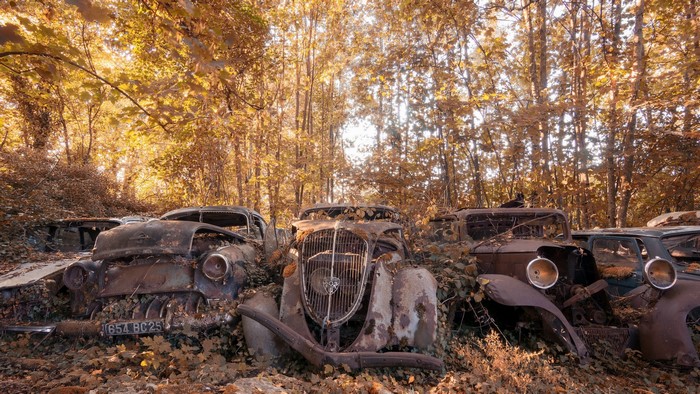 Abandoned vintage cars in autumn forest