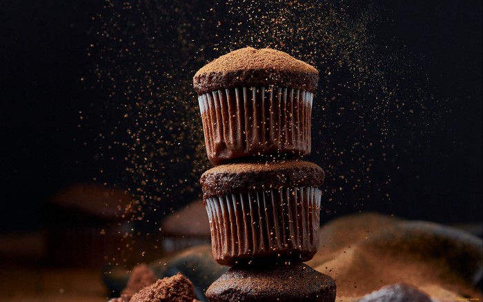 Chocolate muffins dusted with cocoa powder