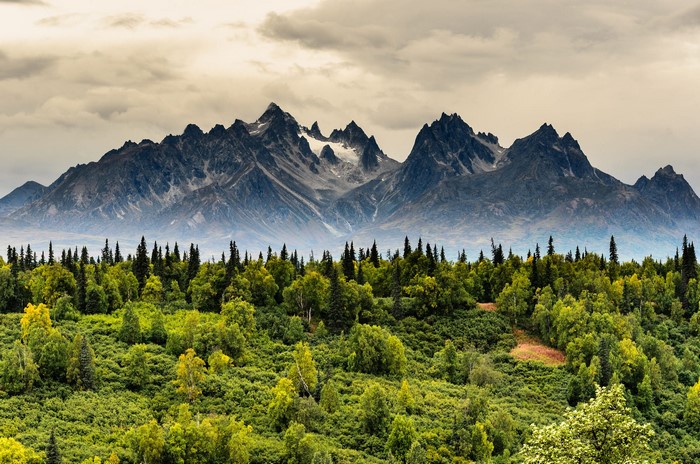 Jagged mountains rise above a dense forest in Alaska