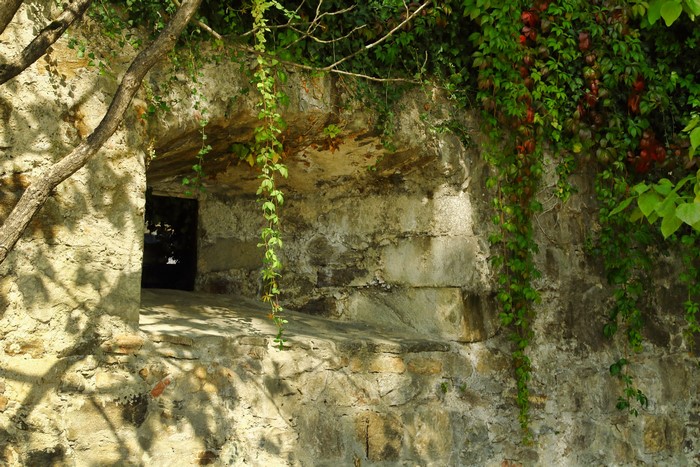 Stone wall with plants and an opening