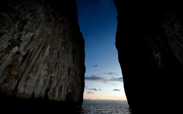 Birds flying through rock archway at sunset