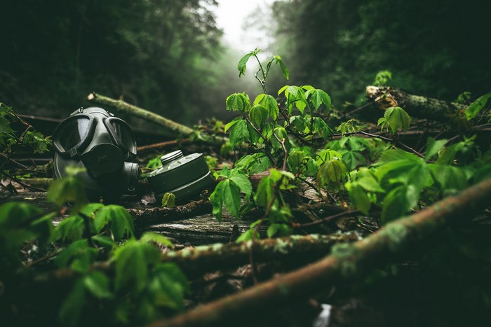 Gas mask lying on forest floor with green leaves