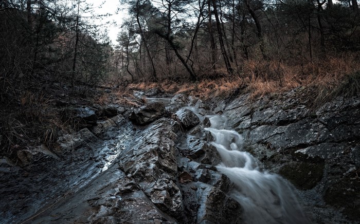 A stream flows over rocks in a dark forest