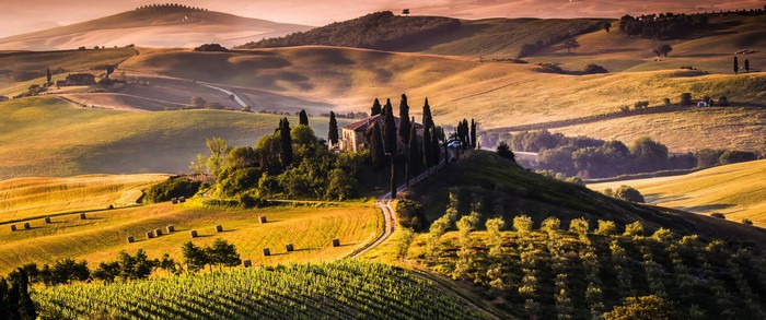 Tuscan landscape with vineyard and farmhouse