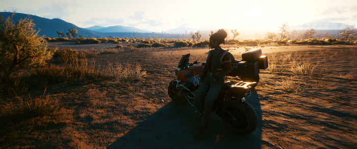 Panam Palmer from Cyberpunk 2077 on a motorcycle in the desert