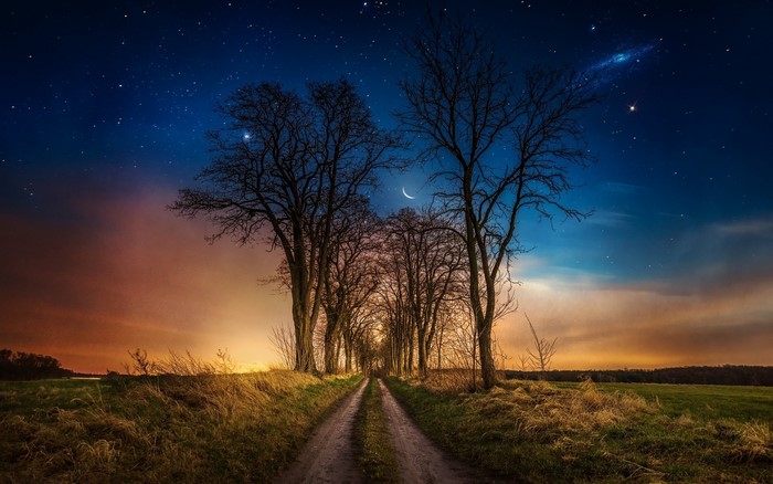 Dirt road lined with trees under a starry night sky