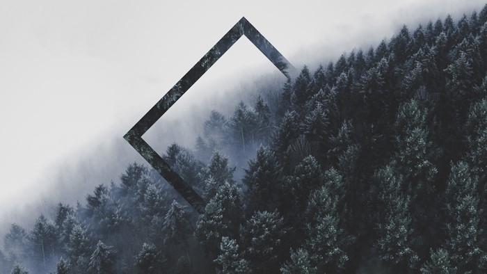 4K misty forest with geometric overlay