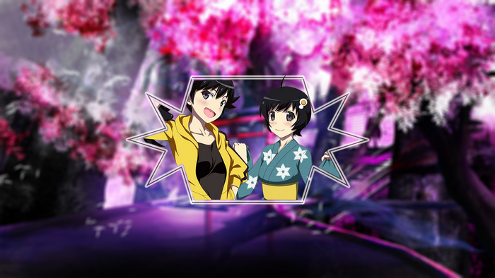 Tsukihi and Karen Araragi from Monogatari Series