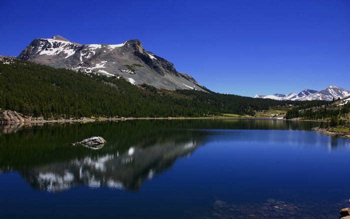 Lake and Mountains with Forest Reflection