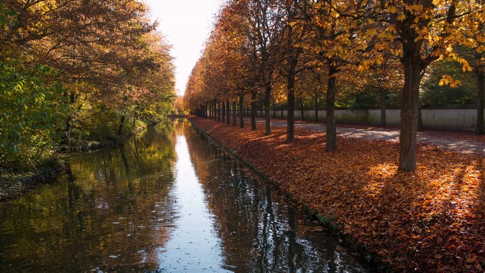 Canal lined with autumn trees and fallen leaves in Germany
