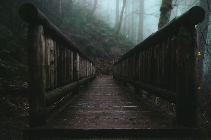 Wooden bridge in a foggy forest